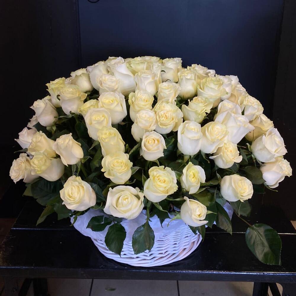 101 Роза, премиум Mondial