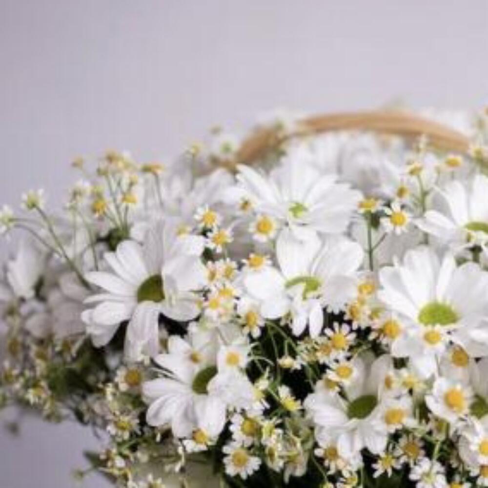 Корзина с ромашками 