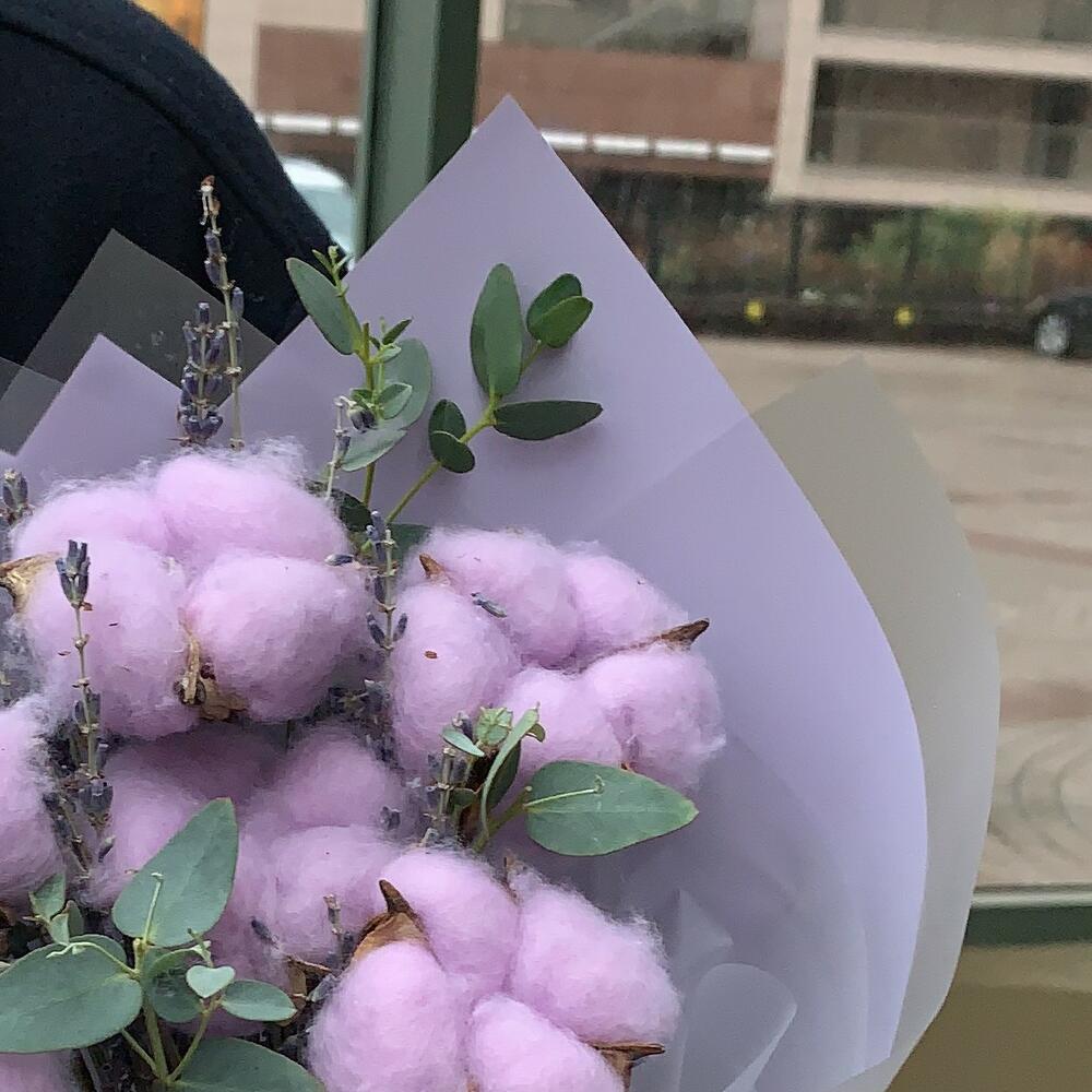 Хлопок с лавандой и эвкалиптом Хлопок с лавандой и эвкалиптом