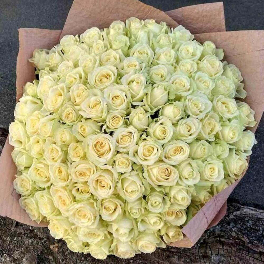 Букет 101 белая роза