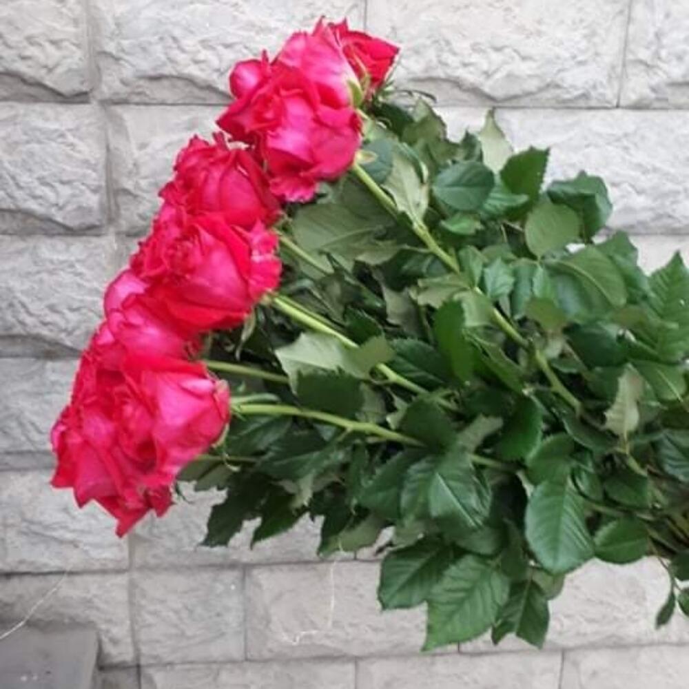 Букет роз  Фана