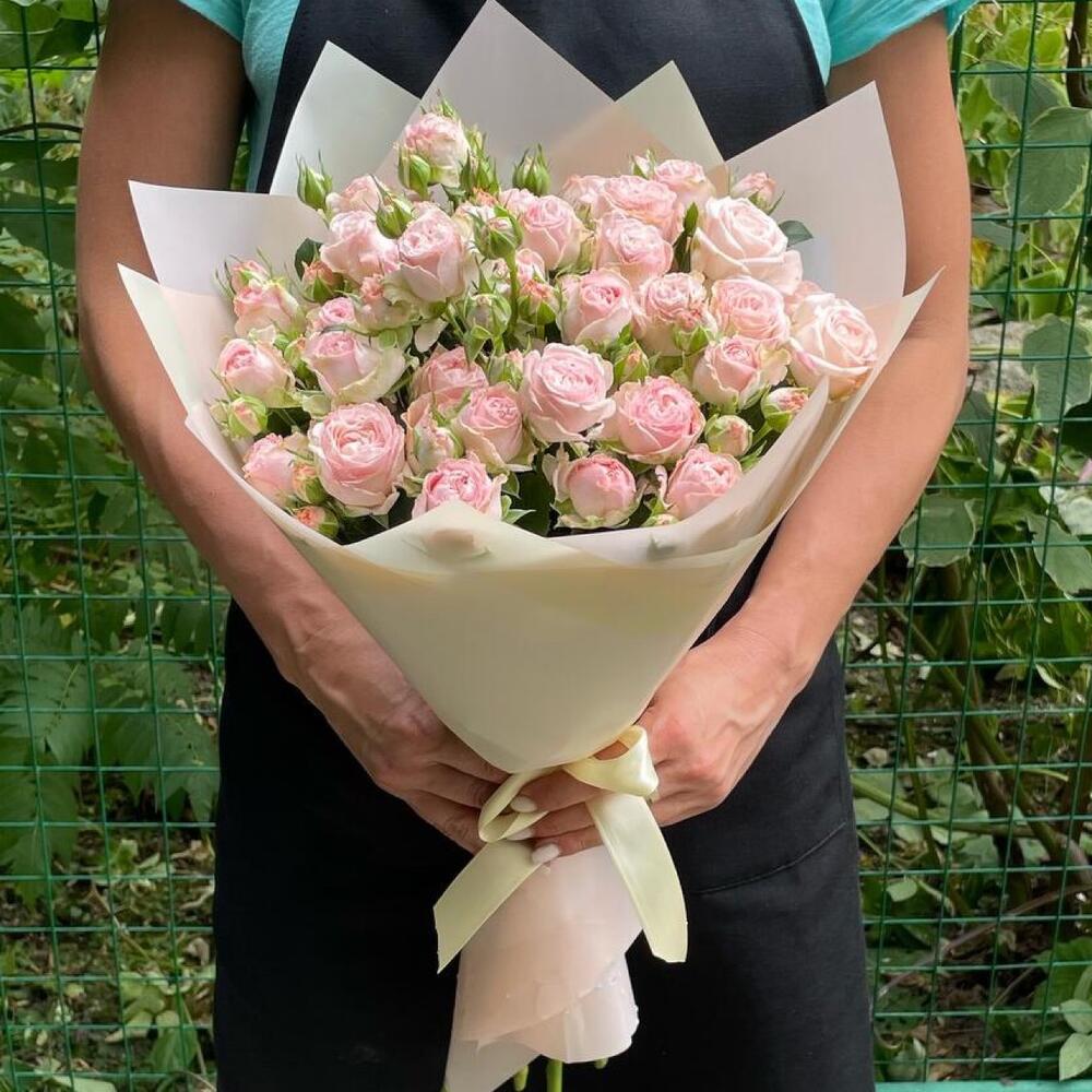 Кустовая Роза - Мисс Бомбастик