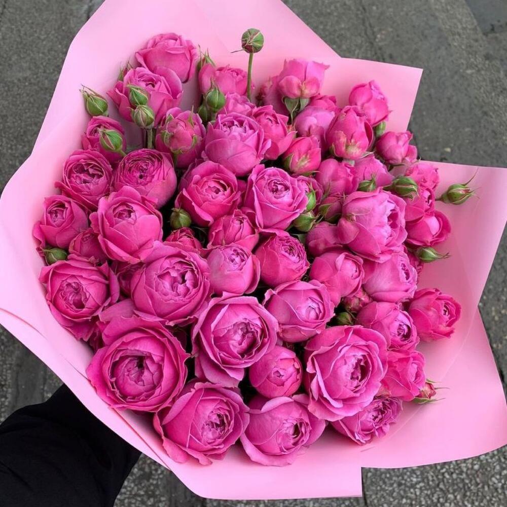 Мисти баблс - М