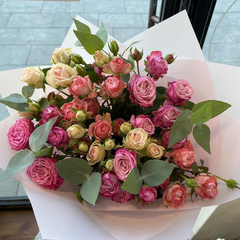 Микс из Пионовидных