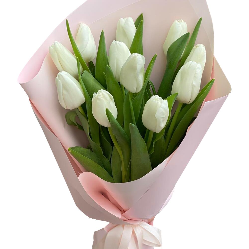 11 білих тюльпанів