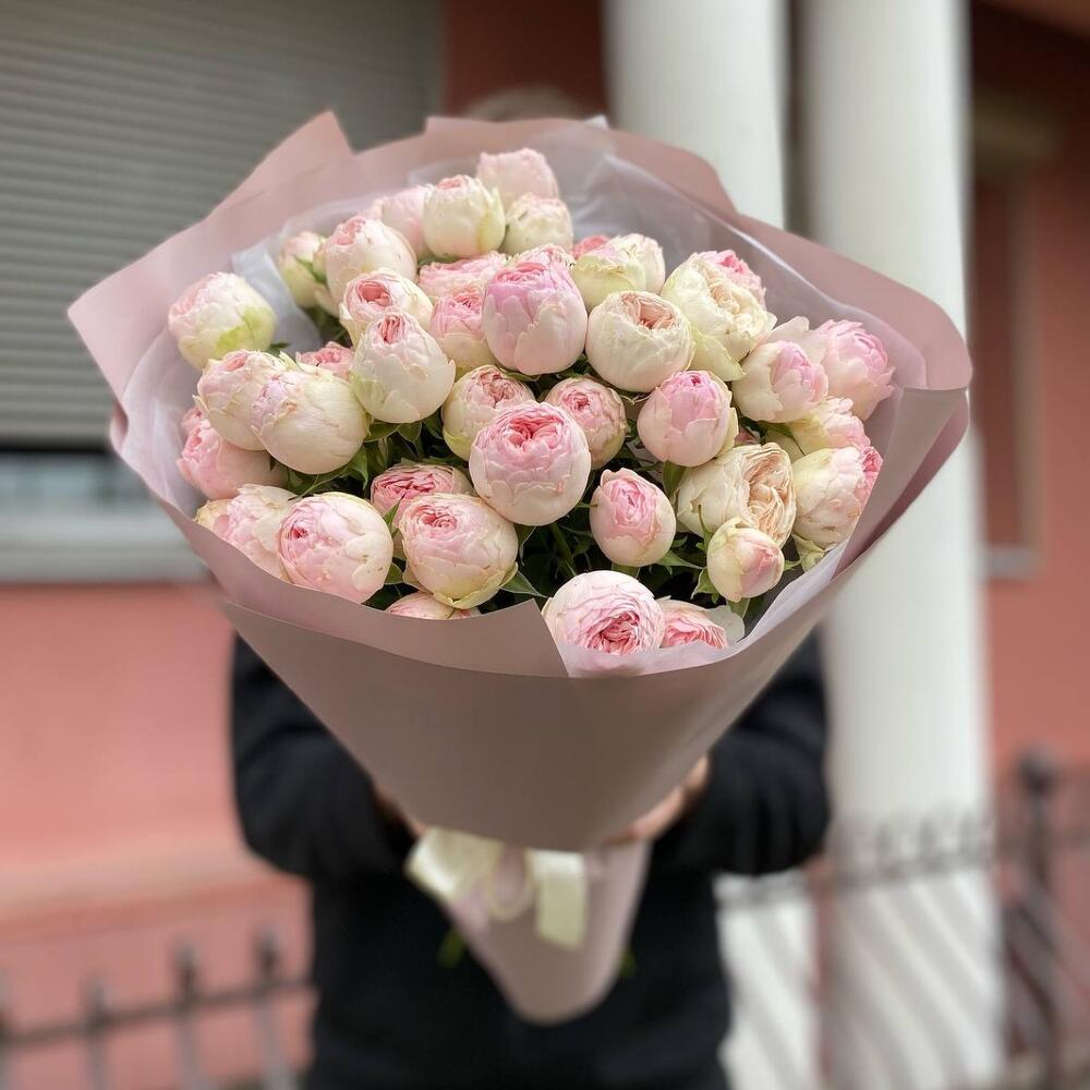 11 веток кустовых пионовидных роз Менсфилд Парк