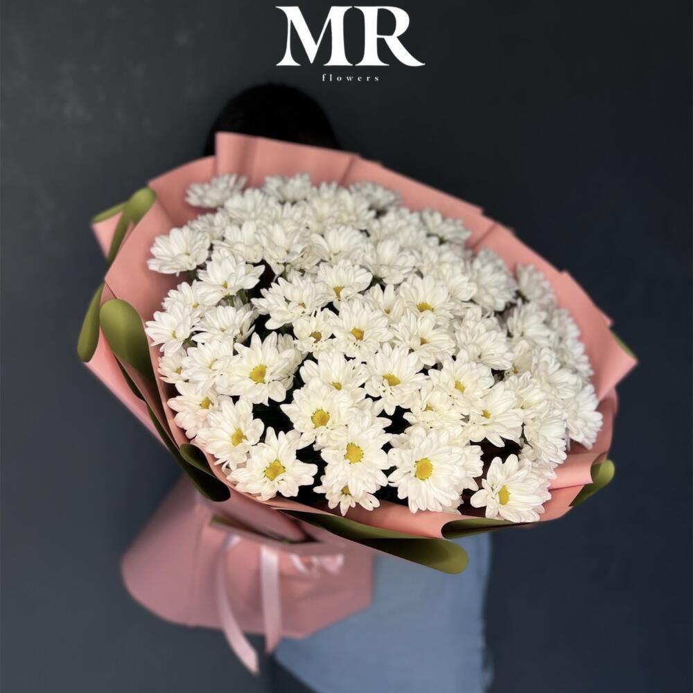 Хризантемы