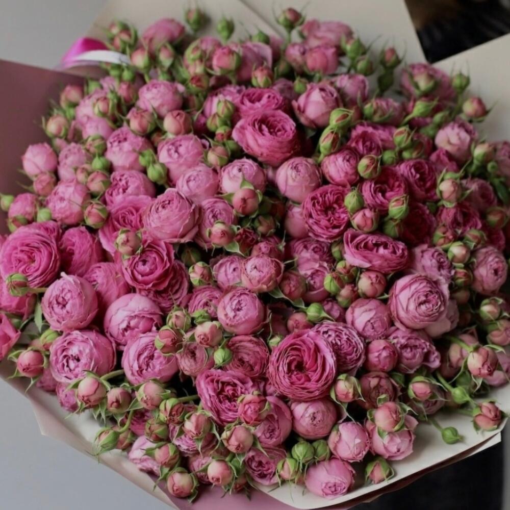 Пионовидные розы