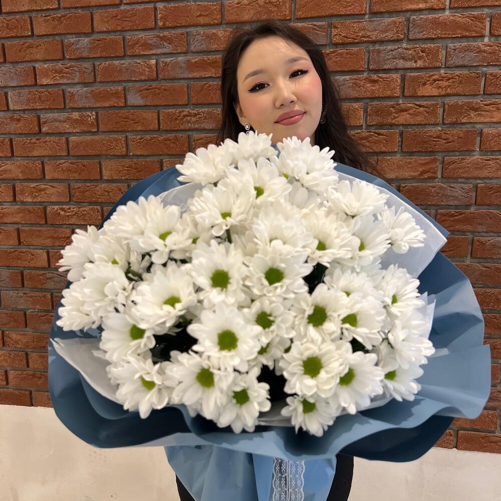 Прекрасные ромашки