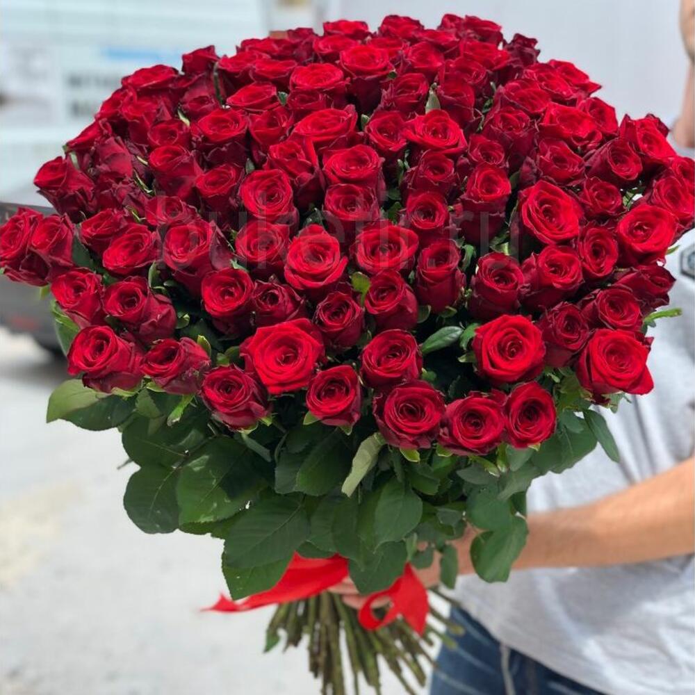 101 красная роза Киев