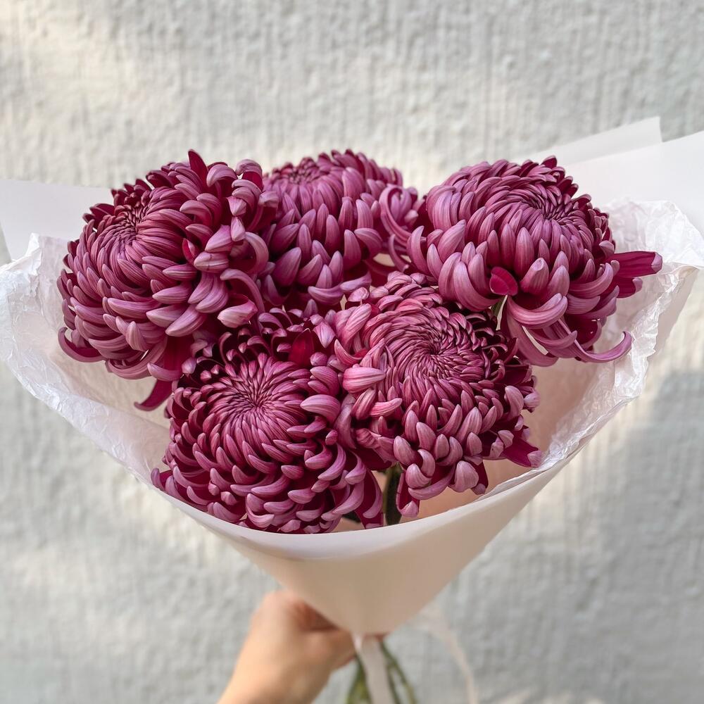 Монобукет из хризантемы Бигуди